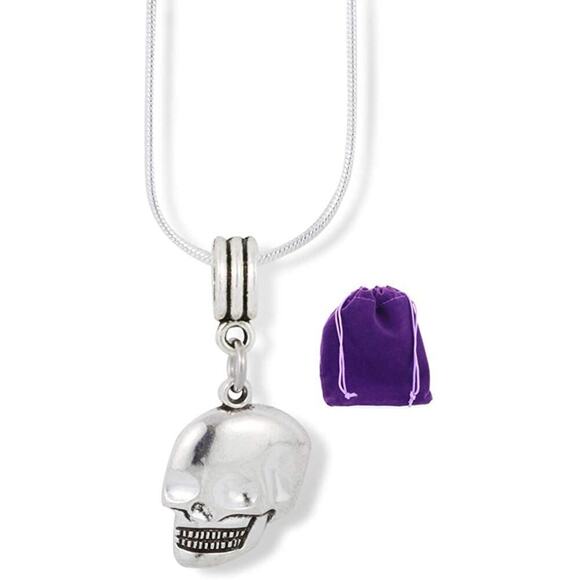 Skull Necklace - Smiling Skull Pendant Necklace Jewelry - Picture 1 of 4